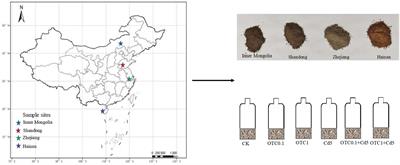 Individual and combined contamination of oxytetracycline and cadmium inhibited nitrification by inhibiting ammonia oxidizers